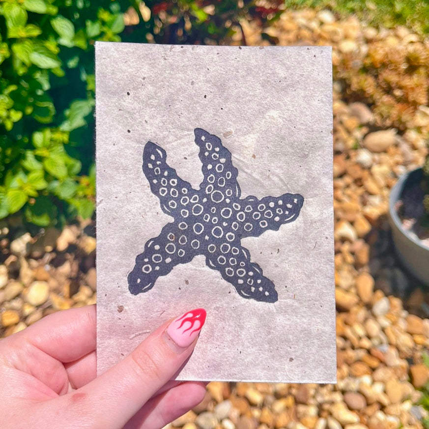 Starfish Mini Print