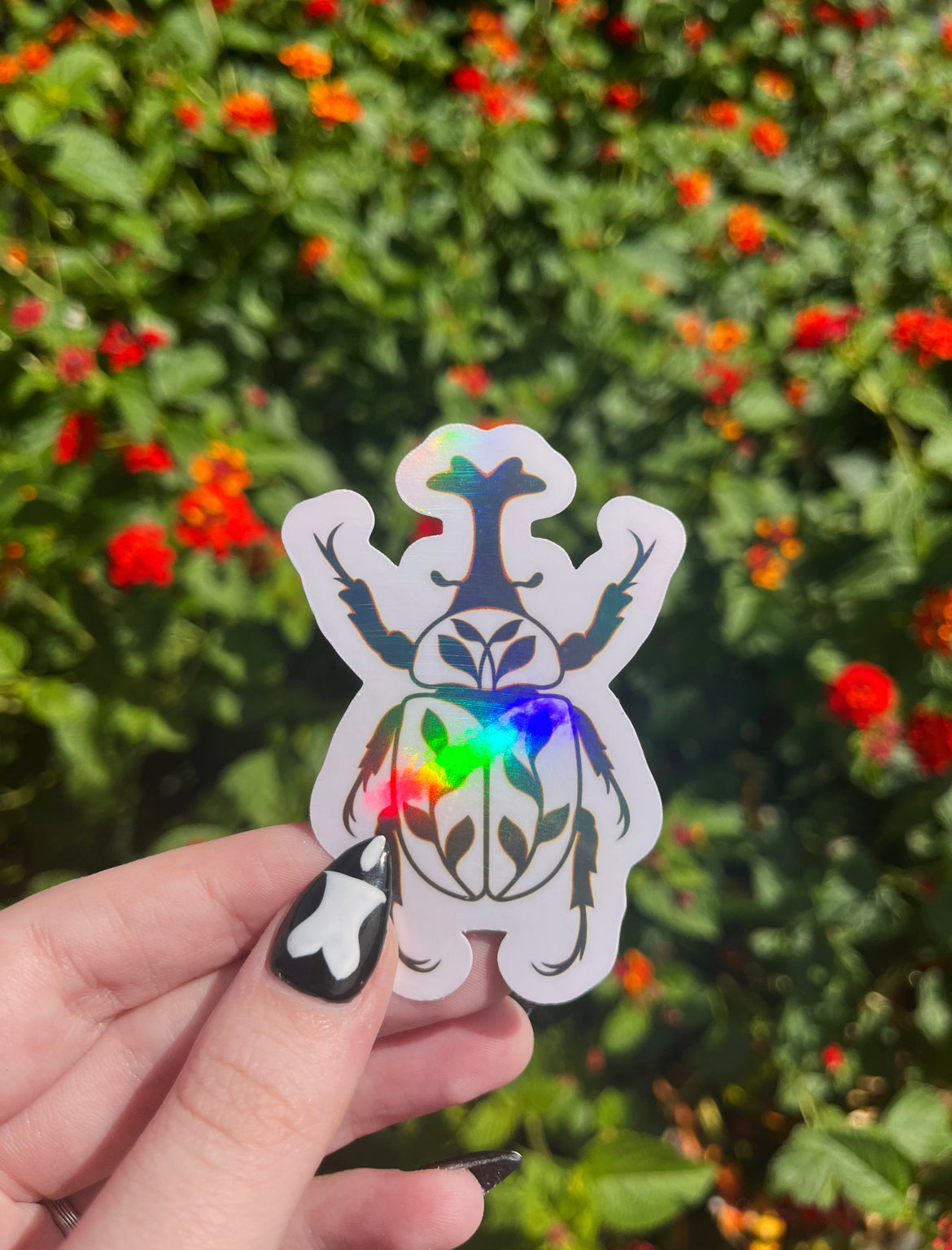 Vines Beetle Sticker