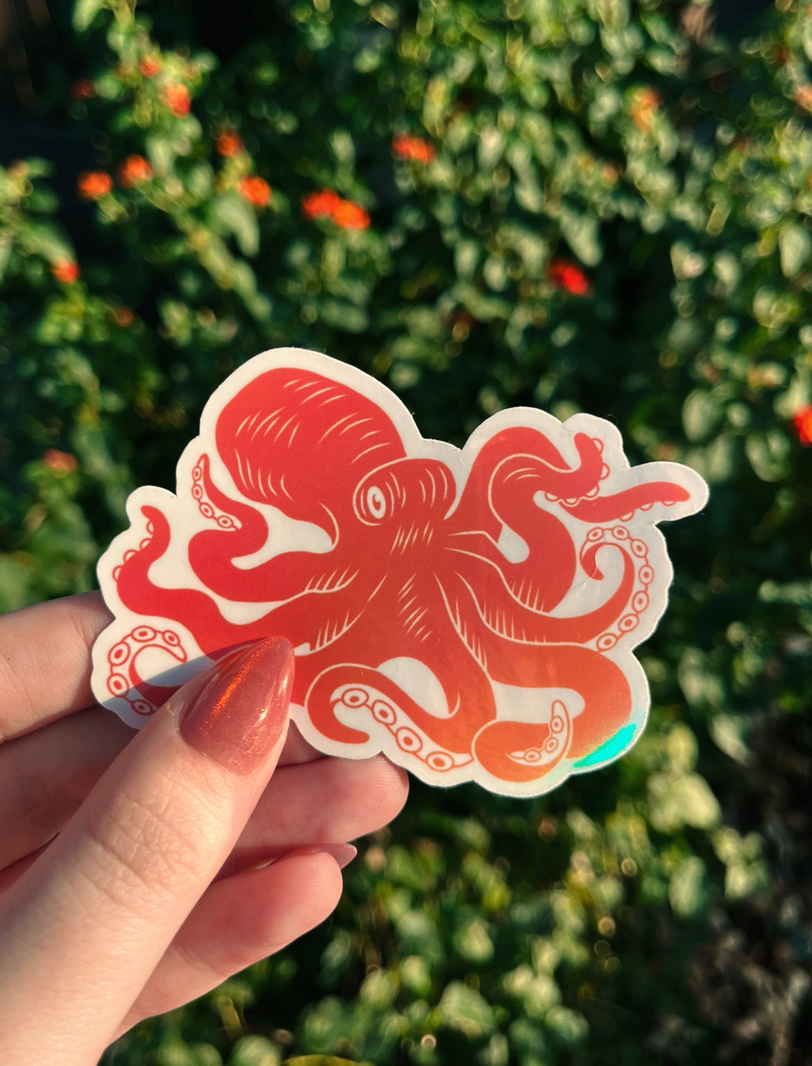 Orange Octopus Sticker