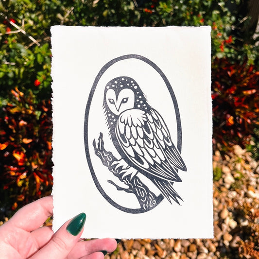 Barn Owl Print