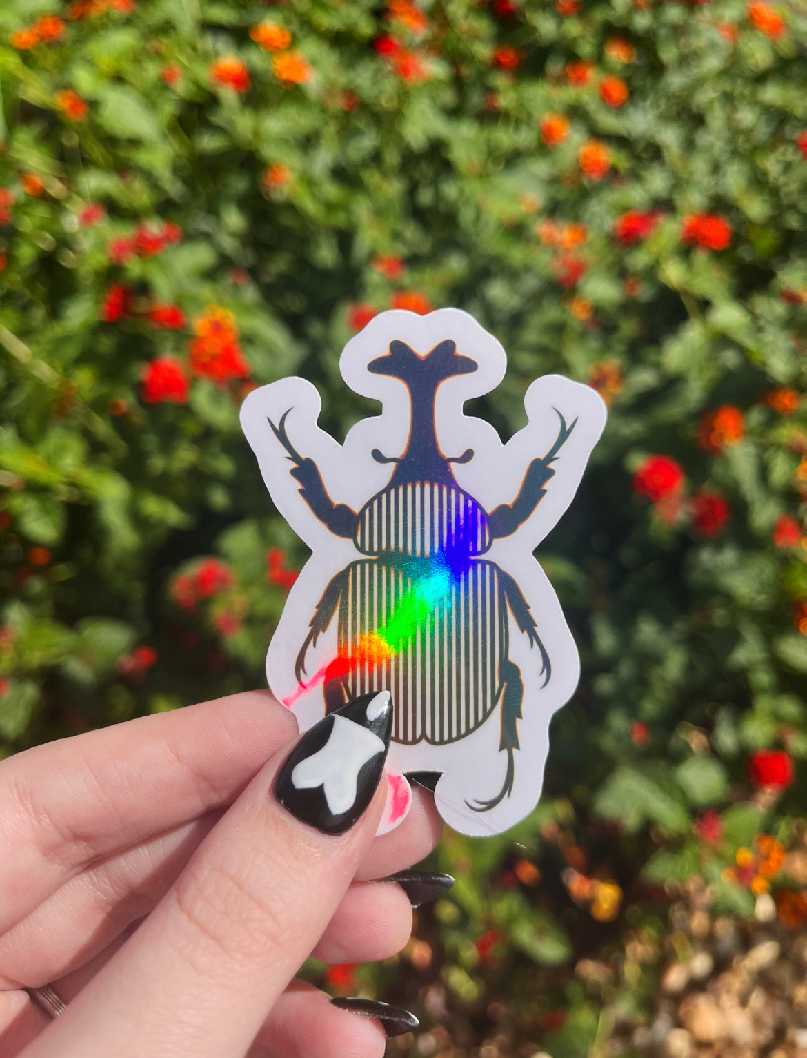 Striped Beetle Sticker