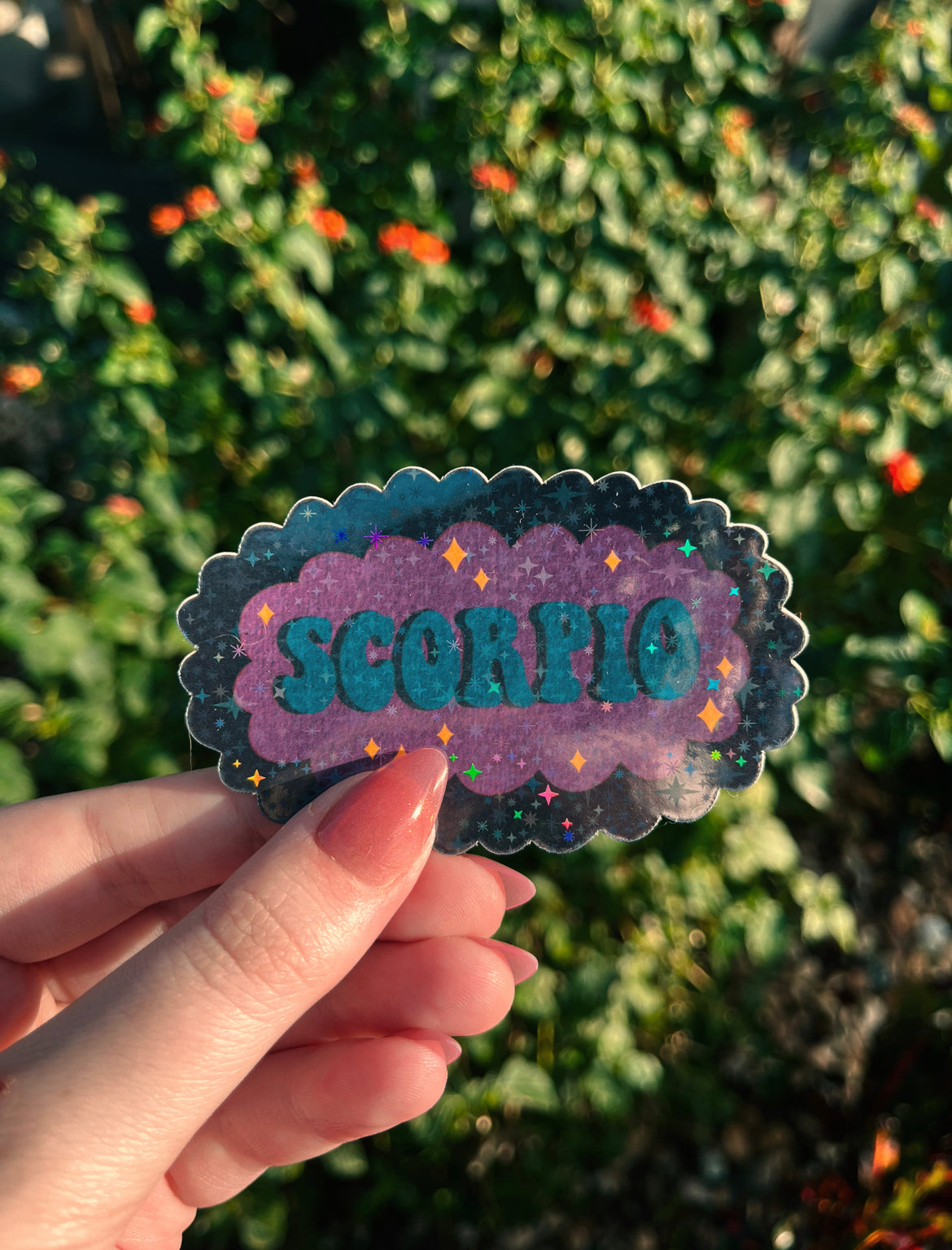 Scorpio Star Sign Sticker – CalliLaneCreated