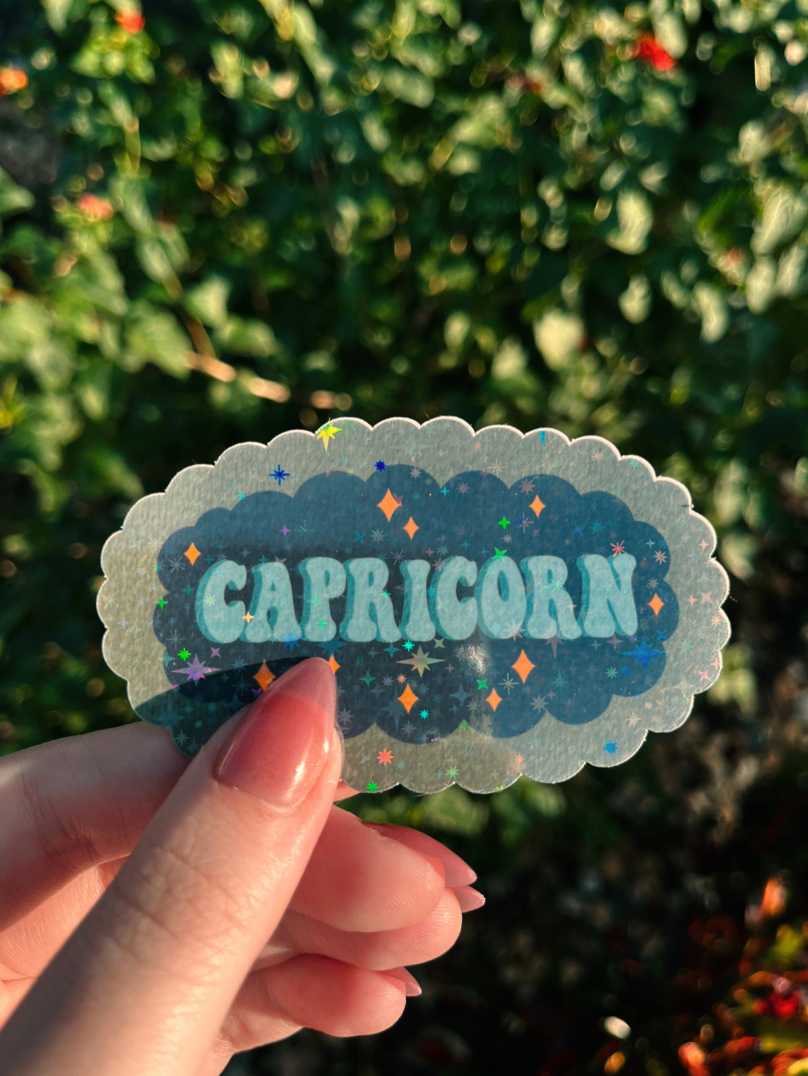 Capricorn Star Sign Sticker