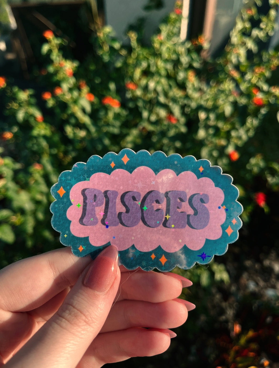 Pisces Star Sign Sticker