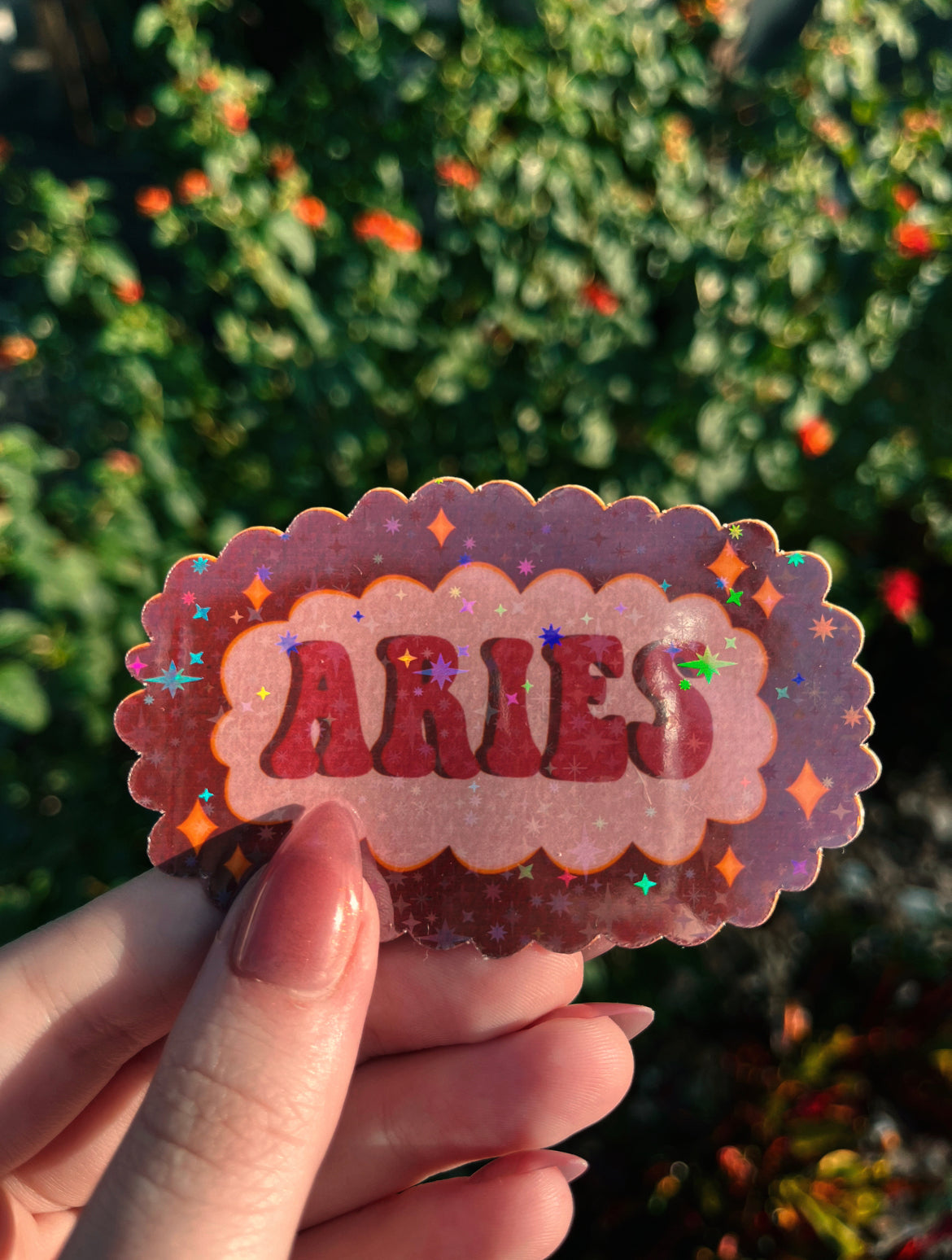 Aries Star Sign Sticker